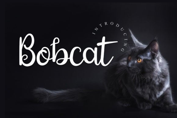 Bobcat Handwritten Font for Handmade Charm
