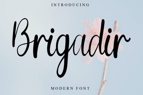 Brigadir: A Beautiful Handwritten Font for Web Design