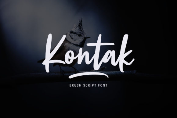 Kontak: A Refined Script Font for Branding That Feels Human