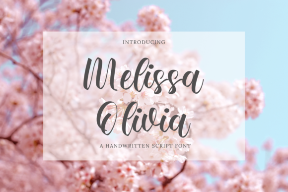 Melissa Olivia: A Premium Script Font for Scroll-Stopping Brand Content