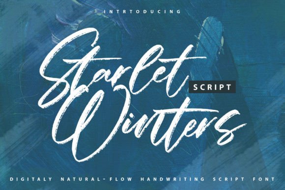 Starlet Winters: A Delicate Script Font That Elevates Handmade Goods