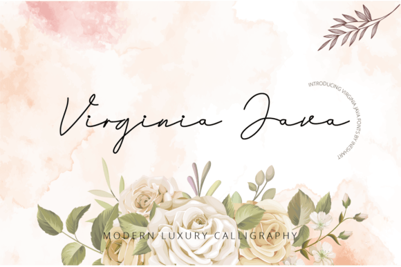 Virginia Java: A Designer’s Real-World Review